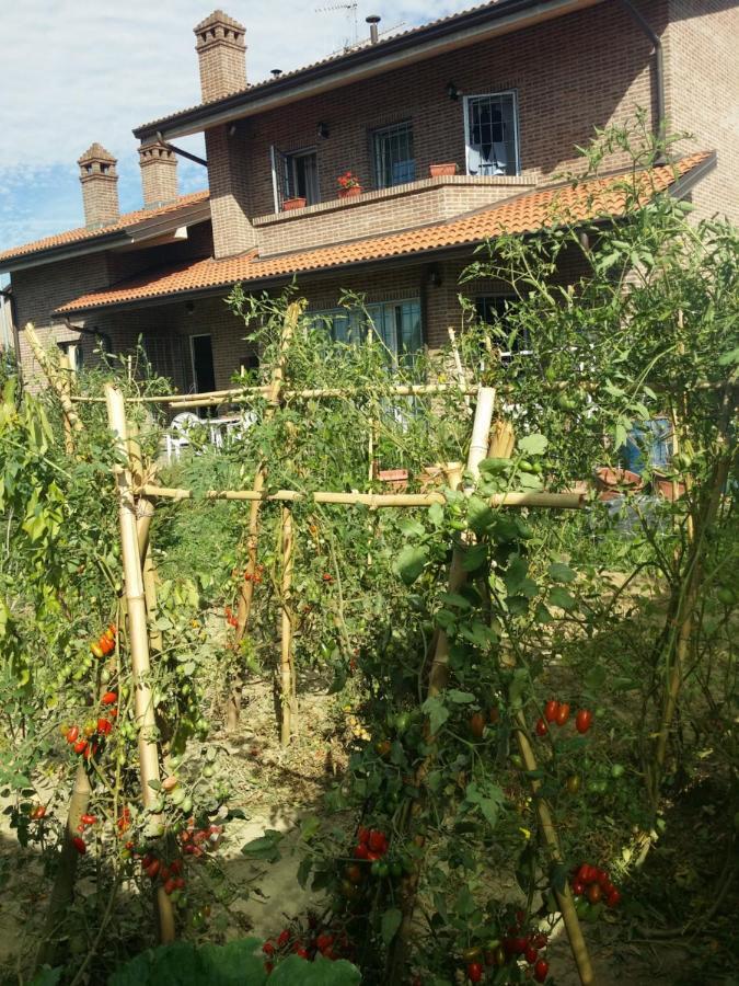 B&B Casa Dei Camini Bentivoglio Exteriér fotografie