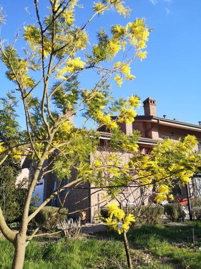 B&B Casa Dei Camini Bentivoglio Exteriér fotografie